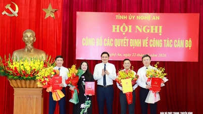 Nghe An-provinsen har omfördelat många ledare på provinsnivå till positionen som partikommittésekreterare på kommunnivå.