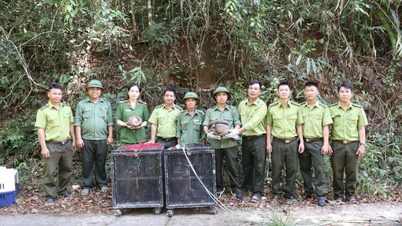 សត្វព្រៃចំនួន ៥ ក្បាលត្រូវបានដោះលែងឱ្យត្រឡប់ទៅជម្រកធម្មជាតិរបស់វាវិញនៅខេត្តដាក់ឡាក់។