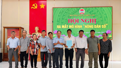 डिएन लाम कम्यून: "किसान संघ द्वारा डिजिटल प्रौद्योगिकी का अनुप्रयोग" मॉडल का शुभारंभ।