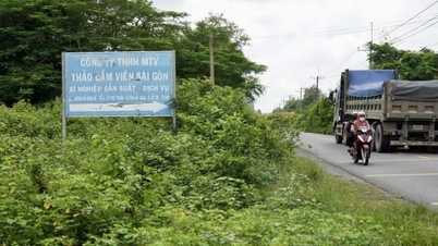 Bandar Raya Ho Chi Minh: Melancarkan semula seruan untuk pelaburan dalam taman bernilai $500 juta.