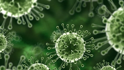 Menurut WHO, saat ini belum ada vaksin atau pengobatan khusus untuk virus Nipah.