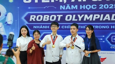 Tre manliga studenter från Nghe An-provinsen vann guldmedaljer vid den nationella robotikfinalen.