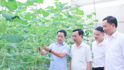 ດົງຫຽວ ໄດ້ຮັກສາ "ຈຸດຢືນ" ຂອງລາວໄວ້ຢ່າງຕັ້ງໜ້າ, ເພື່ອປ້ອງກັນການເກີດຂຶ້ນຂອງ "ຊ່ອງຫວ່າງທາງອຸດົມການສາມຢ່າງ".