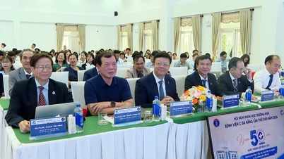 Da Nang C Hastanesi 18. Yıllık Bilimsel Konferansı: 50 Yıllık Gelişim ve Bütünleşmeyi Kutluyor – Geriatri Alanındaki Uzmanlaşmış Yönelimi Onaylıyor