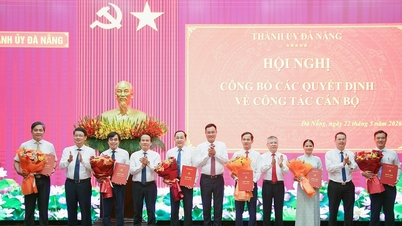 Da Nang, personel transferleri ve atamalarına ilişkin kararları açıkladı.