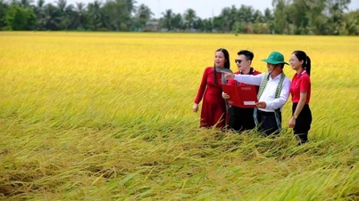 Für eine nachhaltige Landwirtschaft ist ein umfassendes Finanzökosystem erforderlich.