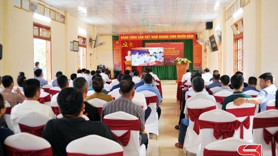 Improving productivity, product quality, and establishing connections for the consumption of plum products in Yen Son commune.
