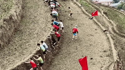 Lao Cai, her yıl Mu Cang Chai'deki 100 teraslı pirinç tarlasına tırmanma yarışması düzenlemek istiyor.