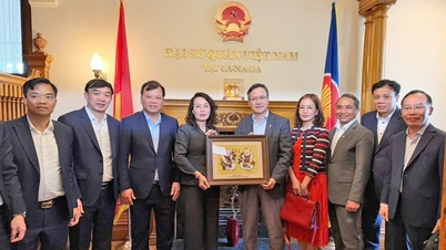 The delegation from Bac Ninh province visited and worked with the Vietnamese Embassy in Canada.