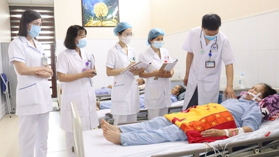 A csapatalapú ellátási modell hatékonysága a Bac Ninh 1. számú Általános Kórházban.