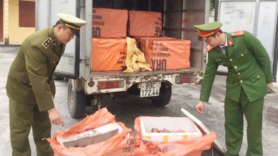 Bac Ninh rozpoczyna kampanię mającą na celu zwalczanie naruszeń praw własności intelektualnej.