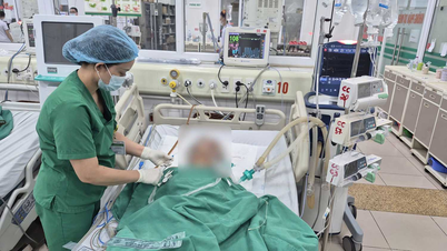 Räddar livet på en patient med septisk chock och kritisk multiorgansvikt.