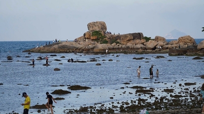 Khanh Hoa: Korallzátony-védelmi övezet kijelölése a Hon Chong festői terület körül.