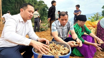 Lima bisnis dan koperasi membeli produk pertanian dari komune perbatasan Lung Cu.