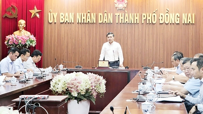 Dong Nai province aims to disburse approximately 1.6 trillion VND of public investment capital in the last 10 days of May.