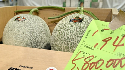Pepenii Hokkaido premium din Japonia ating un preț record de 36.500 de dolari.
