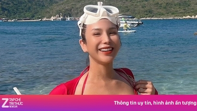 Diep Lam Anh clarifies