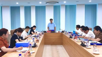 Họp Hội đồng đánh giá nghiệm thu đề tài “Nghiên cứu bảo tồn và phát triển nguồn gen cây Mác Púp tại tỉnh Cao Bằng”