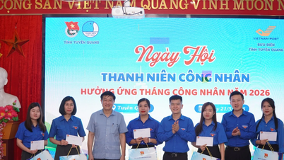 Para pekerja muda di Tuyen Quang menyebarkan semangat kreativitas dan inisiatif.