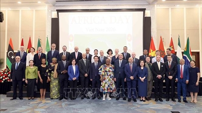 Vietnam ve Afrika arasındaki iş birliğinin derinleştirilmesi.