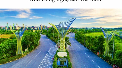Ninh Binh eyaleti, 600 hektardan fazla alanı kapsayan Ha Nam Yüksek Teknoloji Parkı'na yapılacak yatırımı onayladı.