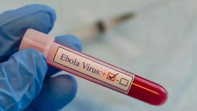 Hanói adota medidas proativas para prevenir o risco de surtos de Ebola.