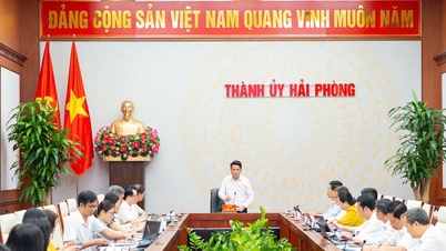 Hai Phong Şehir Parti Komitesi Ofisi'nin danışmanlık ve destek hizmetlerinin kalitesinin iyileştirilmesi.