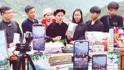 Lam Binh'de sürdürülebilir topluluk turizmi
