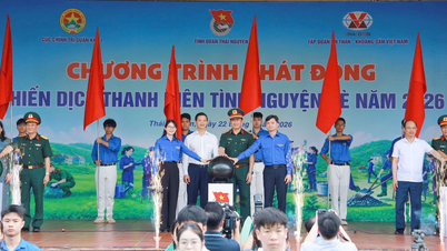 Thai Nguyen, birçok uygulamalı aktivite içeren Yaz Gençlik Gönüllülük Kampanyasını başlattı.
