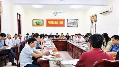 បាក់និញ៖ សង្កាត់ហាប់លីញពង្រឹងយុទ្ធនាការ "សម្អាត និងពង្រឹង" មូលដ្ឋានទិន្នន័យដីធ្លី។