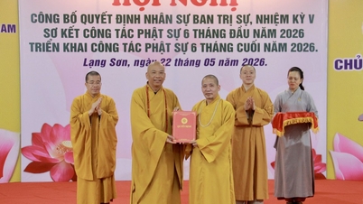 Anuncio de las decisiones de personal para la Junta Ejecutiva de la Asociación Budista de Vietnam de la provincia para el período 2026-2031.
