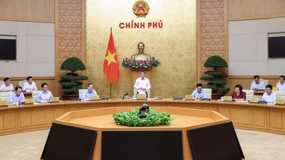 Başbakan Yardımcısı Pham Thi Thanh Tra, Lao Cai ve kuzeydeki sekiz ilin denetiminden ve yönetiminden sorumlu olarak görevlendirildi.