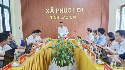 ຄະນະຜູ້ແທນແຂວງໄດ້ເຮັດວຽກກັບຄະນະພັກແຂວງຟຸກເລີ້ຍ.