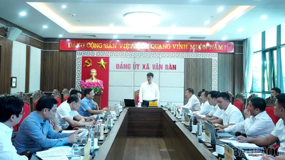A Lao Cai Tartományi Pártbizottság 8. számú megfigyelőcsoportja Khanh Yen községben dolgozott.