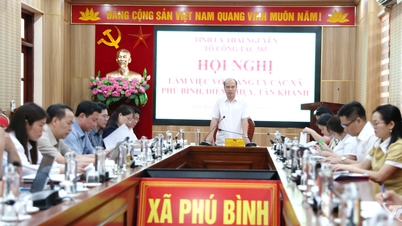 Rà soát, xử lý cơ sở nhà, đất dôi dư tại các xã Phú Bình, Điềm Thụy, Tân Khánh