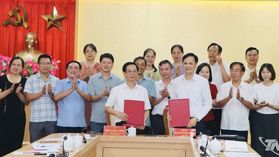 Tredici organizzazioni di massa sono state trasferite sotto il controllo diretto del Comitato del Fronte della Patria del Vietnam della provincia di Thai Nguyen.