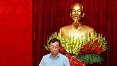 Vietnam Vatan Cephesi İl Parti Komitesi Daimi Komitesi ile Phung Nguyen ve Ban Nguyen beldelerinin izleme sonuçlarına dayanmaktadır.