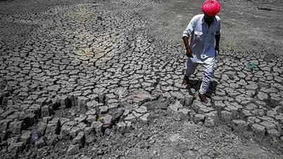 گرمایش جهانی باعث افزایش مقاومت آنتی‌بیوتیکی در خاک می‌شود.