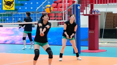 Latest schedule for the VTV9 - Binh Dien Volleyball Cup 2026.