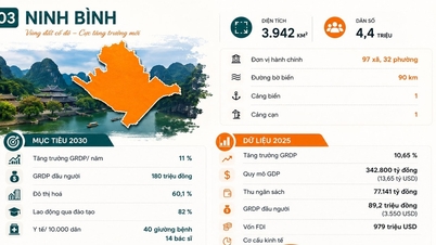 Нінь Бінь прагне стати містом з централізованим управлінням до 2030 року.