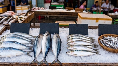 Doktor mencadangkan pilihan ikan yang kaya dengan omega-3 untuk warga emas.