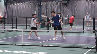 2026 Nguoi Lao Dong Newspaper Pickleball Tournament: پیشہ ورانہ مرحلہ شروع ہونے کے لیے تیار ہے۔