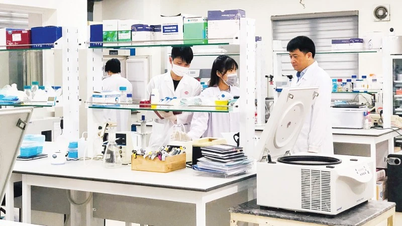 Produzir produtos biológicos competitivos internacionalmente.