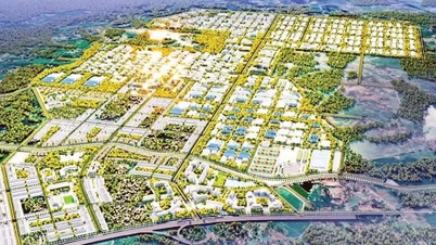 De drijvende kracht achter het streven om een ​​modern industrieel centrum te worden.
