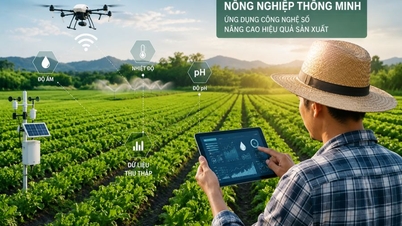 Teknologi digital sedang mengubah kaedah pengeluaran pertanian.