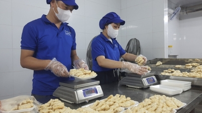 חיזוק ניהול פעילויות עיבוד וייצור פירות ים.