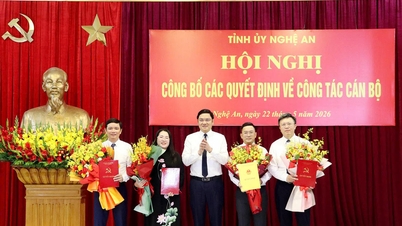 Nghe An province assigns and appoints 3 commune Party Committee Secretaries.