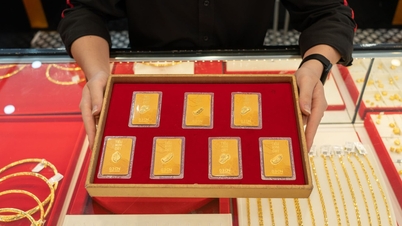 Gold prices today, May 23rd: What are the prices of SJC gold, Bao Tin Minh Chau gold rings, Bao Tin Manh Hai gold, Doji, and Phu Quy gold?