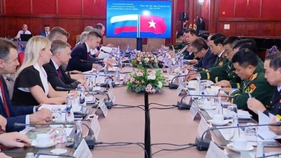 Vietnam a Ruská federace společně předsedaly druhé konzultační schůzce o námořních záležitostech.