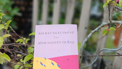 Dari buku: Lagu Hari-Hari Hijau